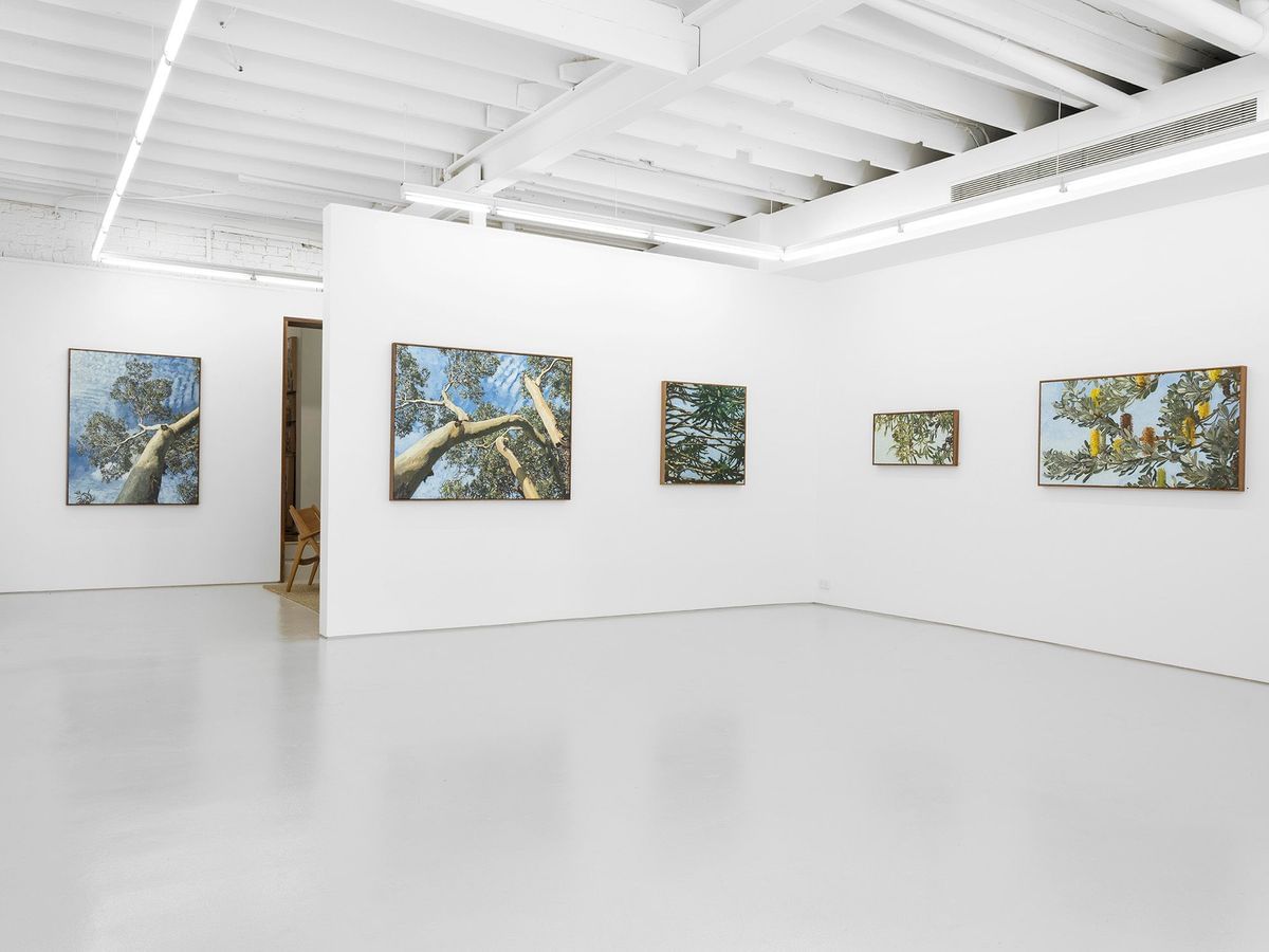 Judith Sinnamon - 'FOLIAGE' INSTALLATION VIEW