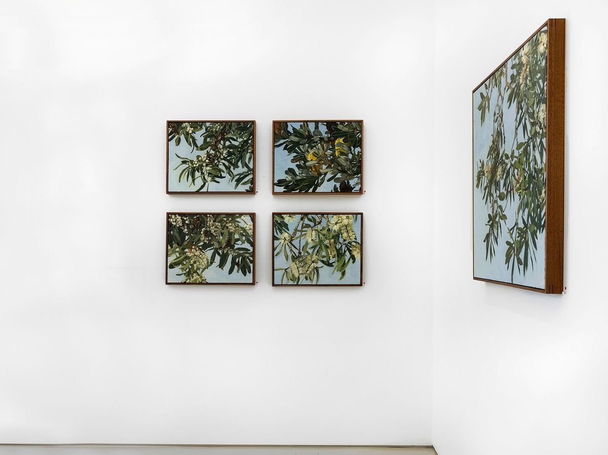 Judith Sinnamon - 'FOLIAGE' INSTALLATION VIEW