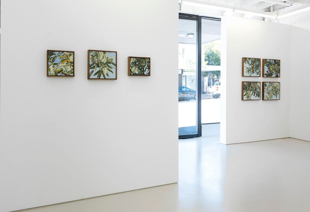 Judith Sinnamon - 'FOLIAGE' INSTALLATION VIEW