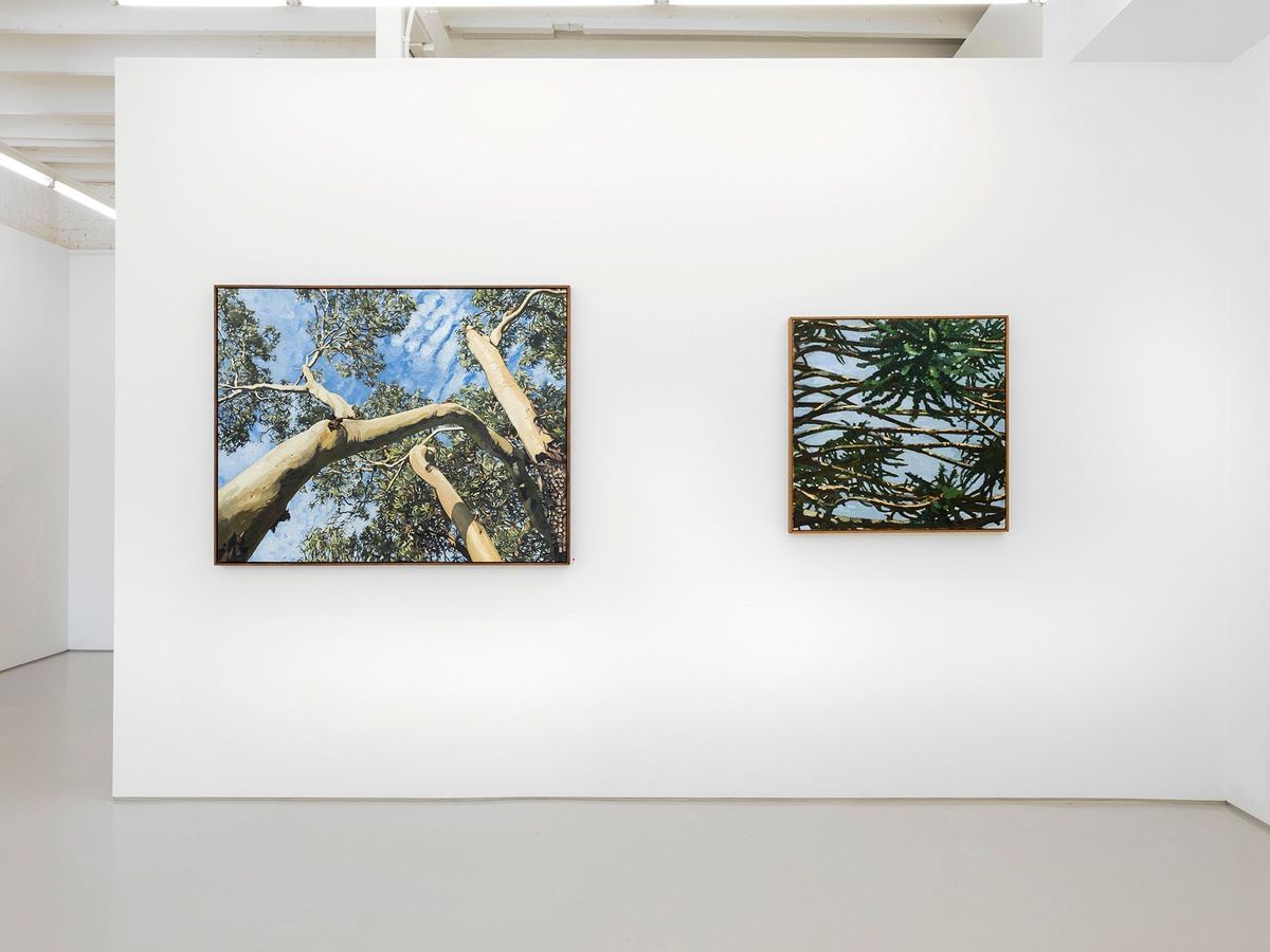 Judith Sinnamon - 'FOLIAGE' INSTALLATION VIEW