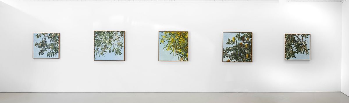 Judith Sinnamon - 'FOLIAGE' INSTALLATION VIEW