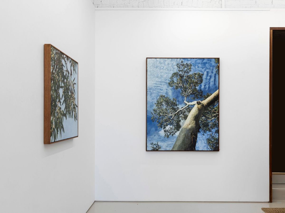 Judith Sinnamon - 'FOLIAGE' INSTALLATION VIEW