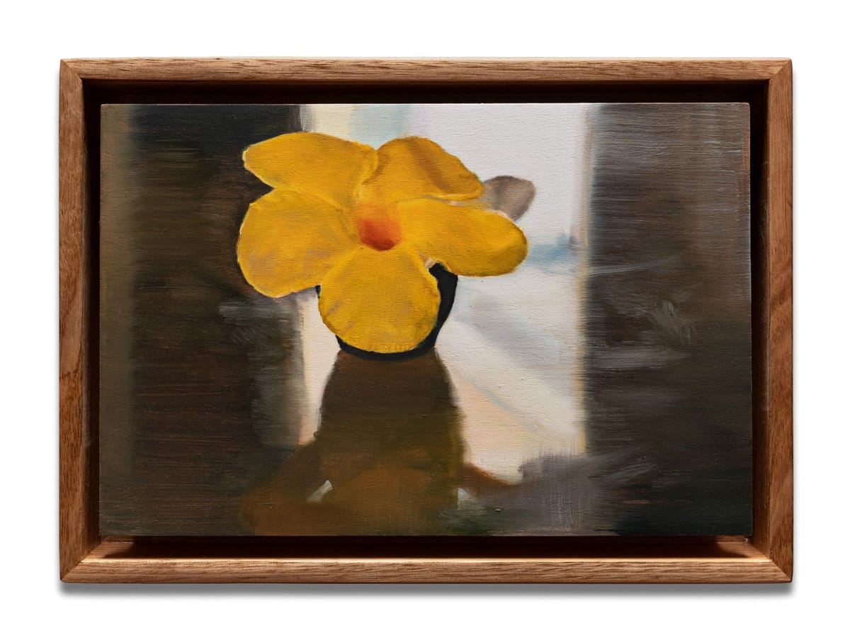 Cosima Scales - Yellow flower