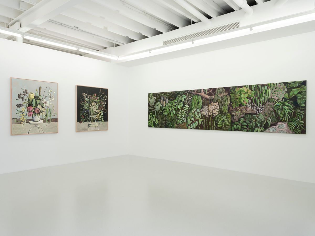 Jane Guthleben - ‘WOLLEMI TO WILPENA’ Installation view