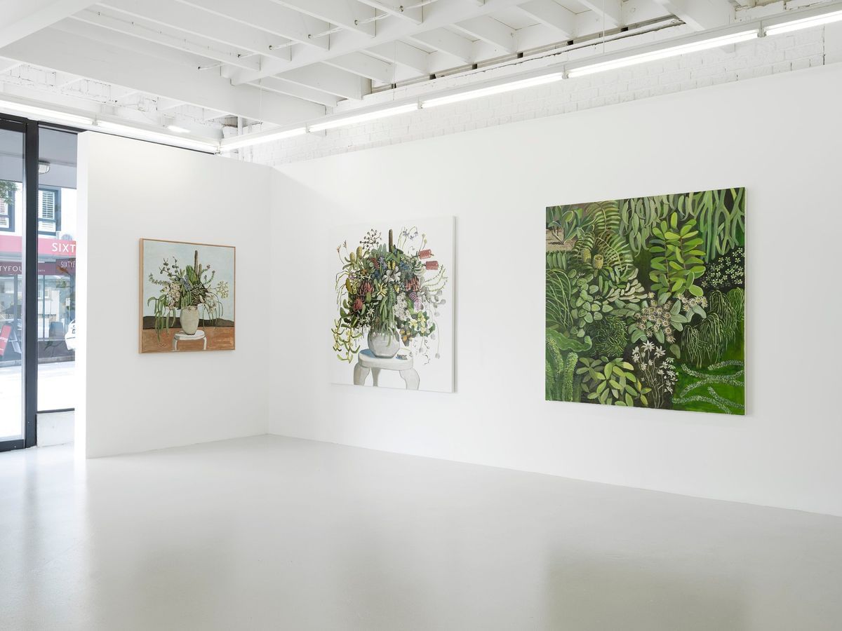 Jane Guthleben - ‘WOLLEMI TO WILPENA’ Installation view