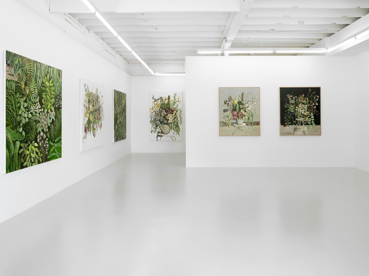 Jane Guthleben - ‘WOLLEMI TO WILPENA’ Installation view