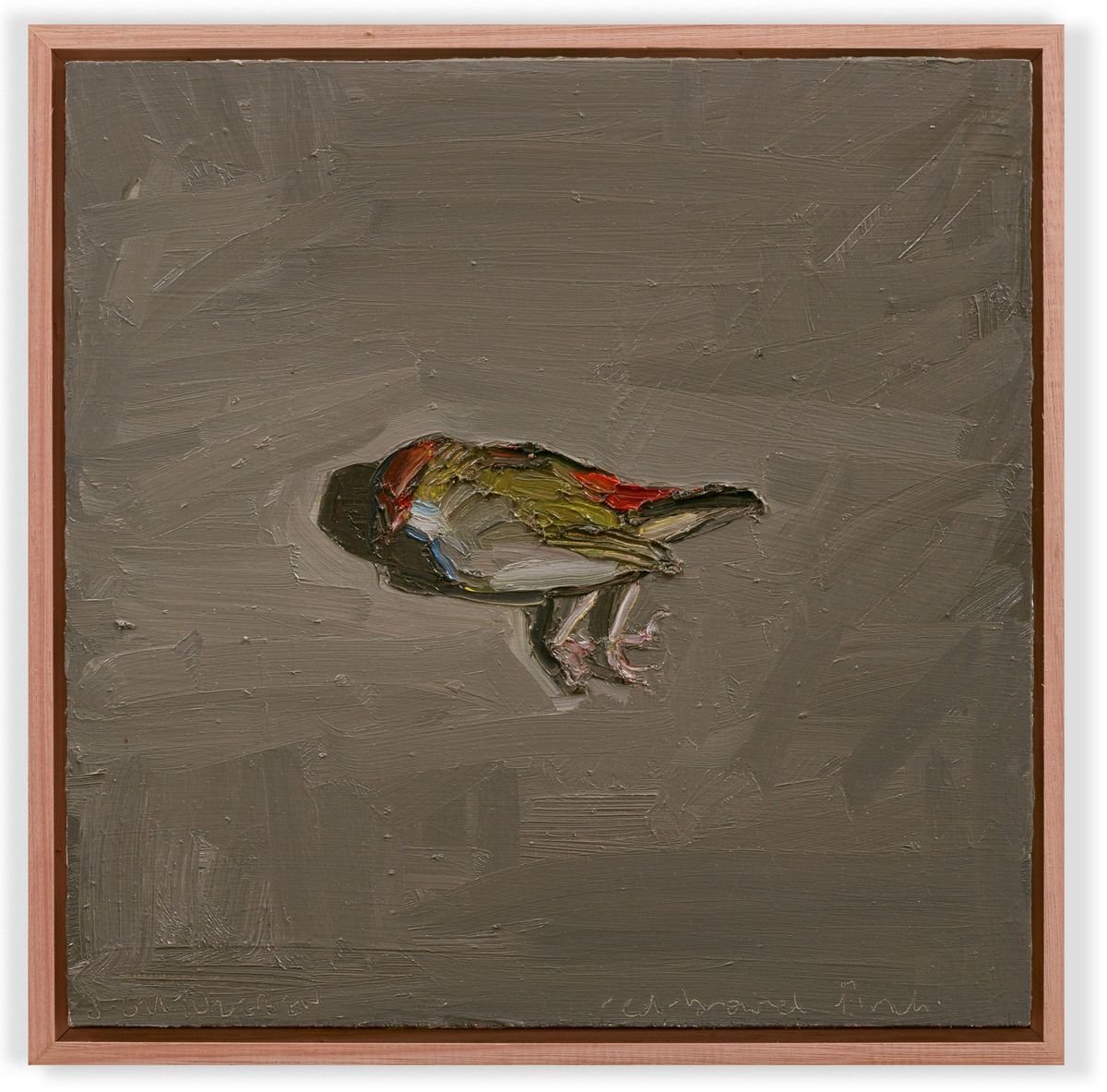 Jane Guthleben - The Red Browed Finch