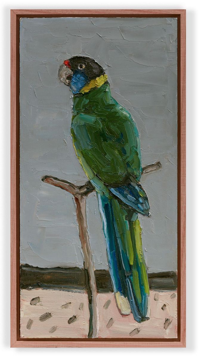 Jane Guthleben - The Twenty-eight Parrot (Australian Ringneck)