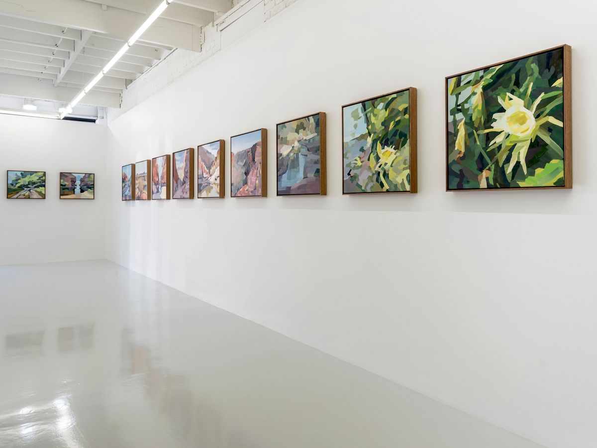 INSTALLATION VIEW 'Desert Scenes and Other Dreams'