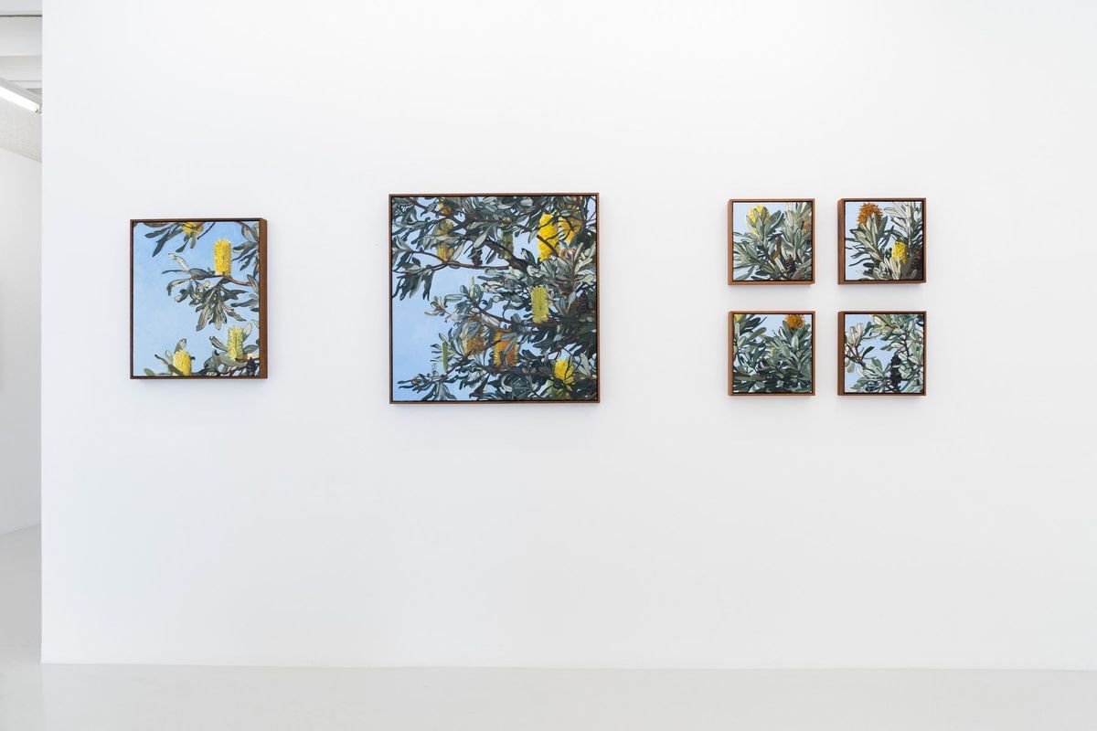 Judith Sinnamon - INSTALLATION VIEW 'Foliage II'