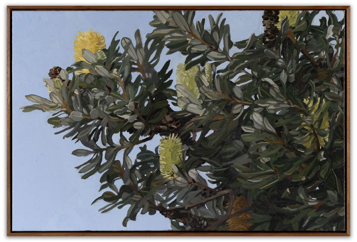 Judith Sinnamon - Banksia Integrifolia #4