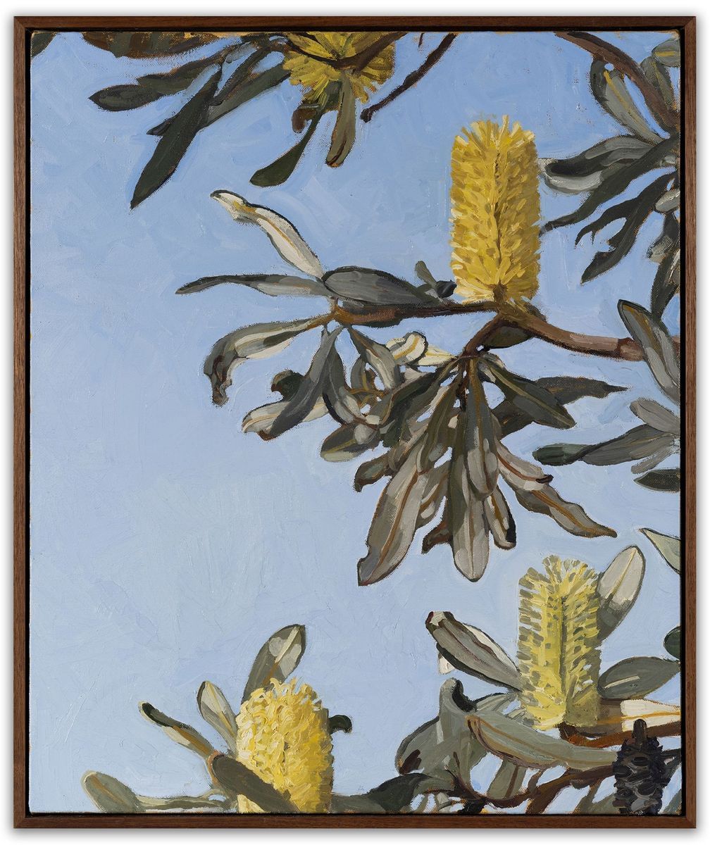 Judith Sinnamon - Banksia Integrifolia #5