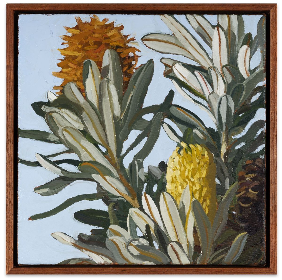 Judith Sinnamon - Banksia Integrifolia #9