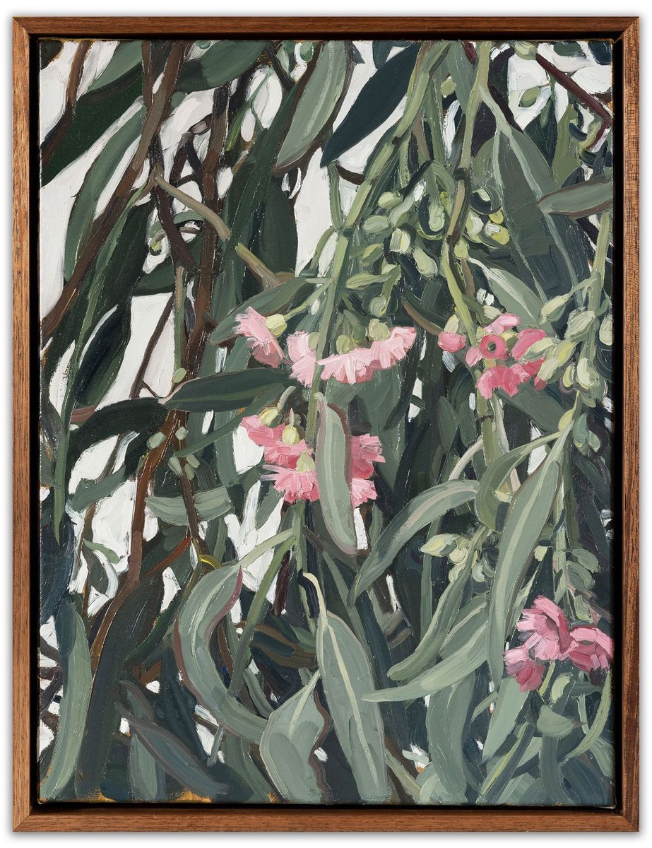 Judith Sinnamon - Melbourne Eucalypt Pink Blossoms