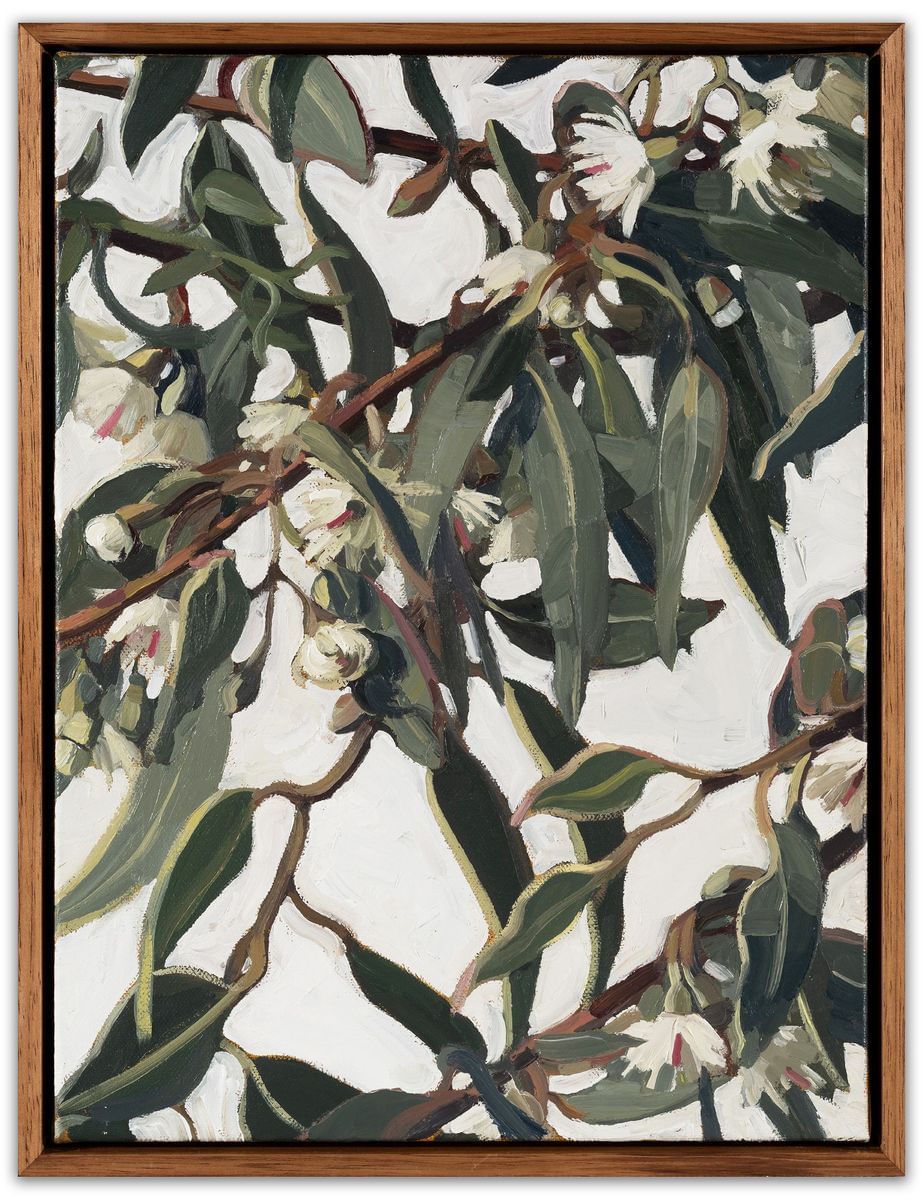 Judith Sinnamon - Melbourne Eucalypt White Blossoms