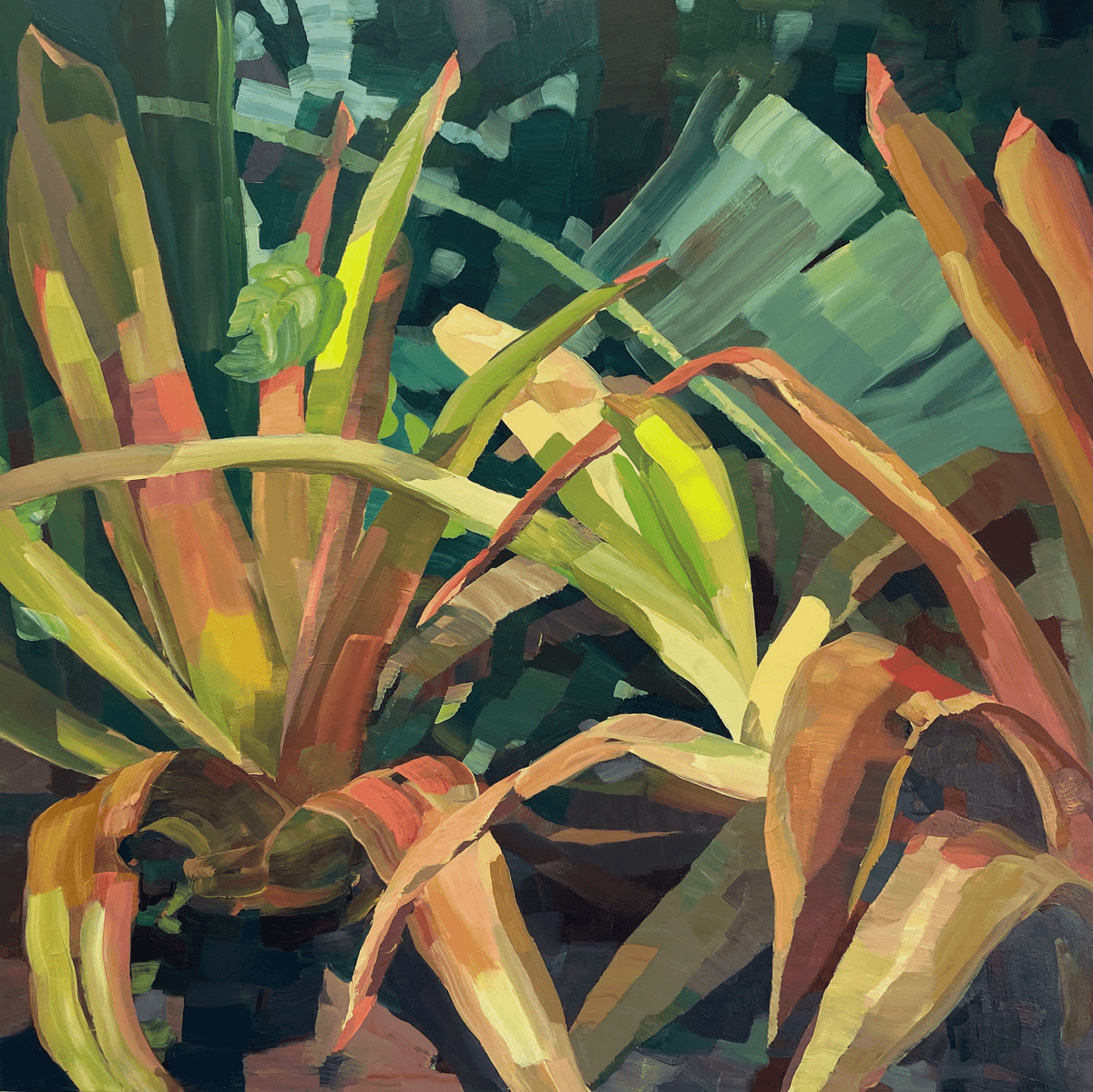 Lyndal Hargrave - Cairns Garden