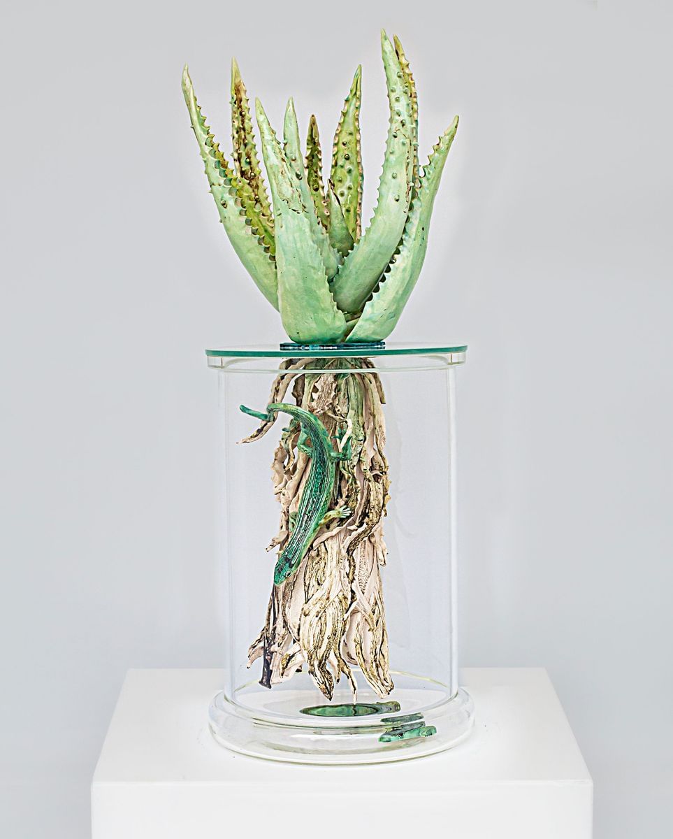 Jane Du Rand - Aloe with Roots and Skinks