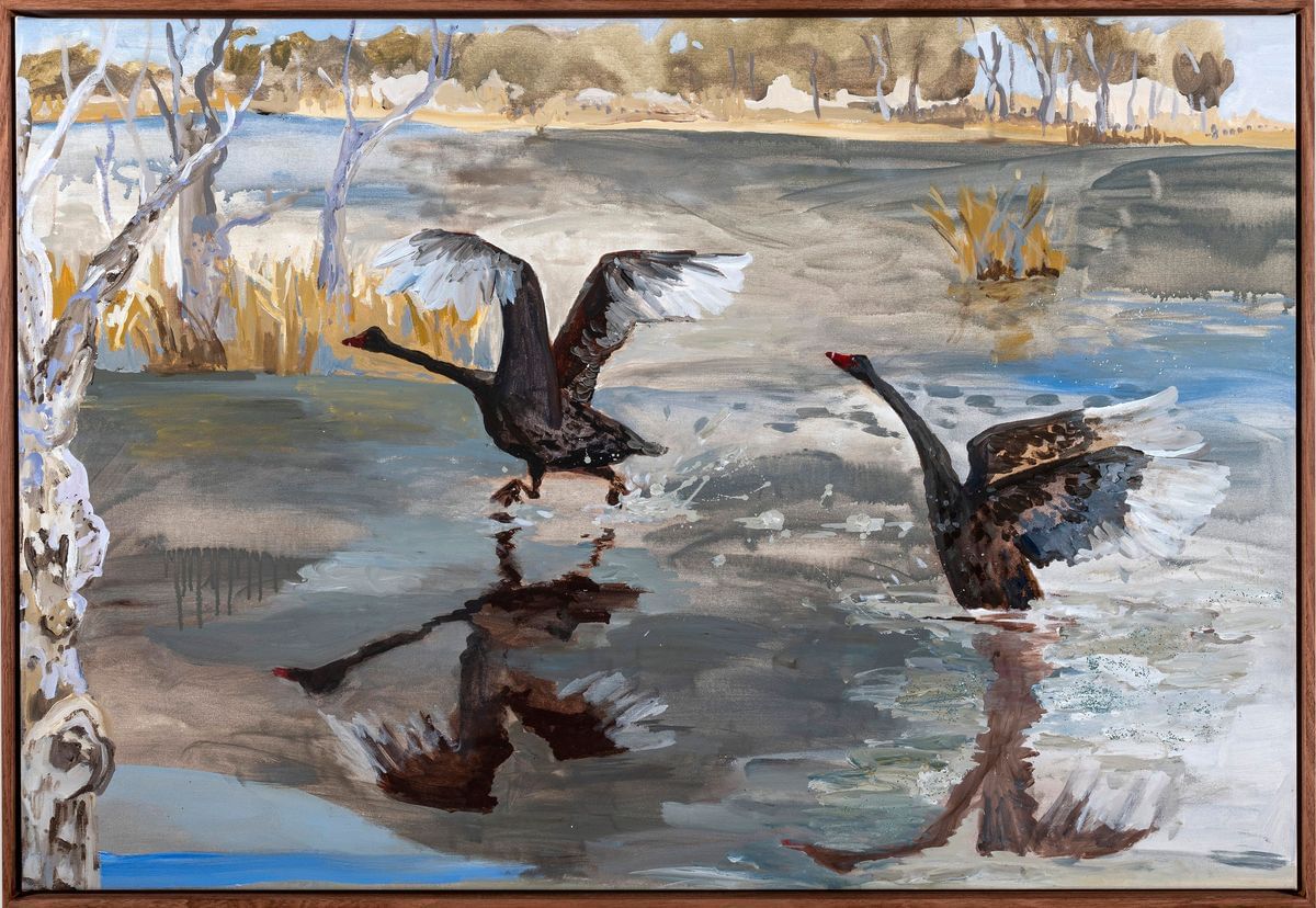 Black Swan Billabong by Emily Imeson