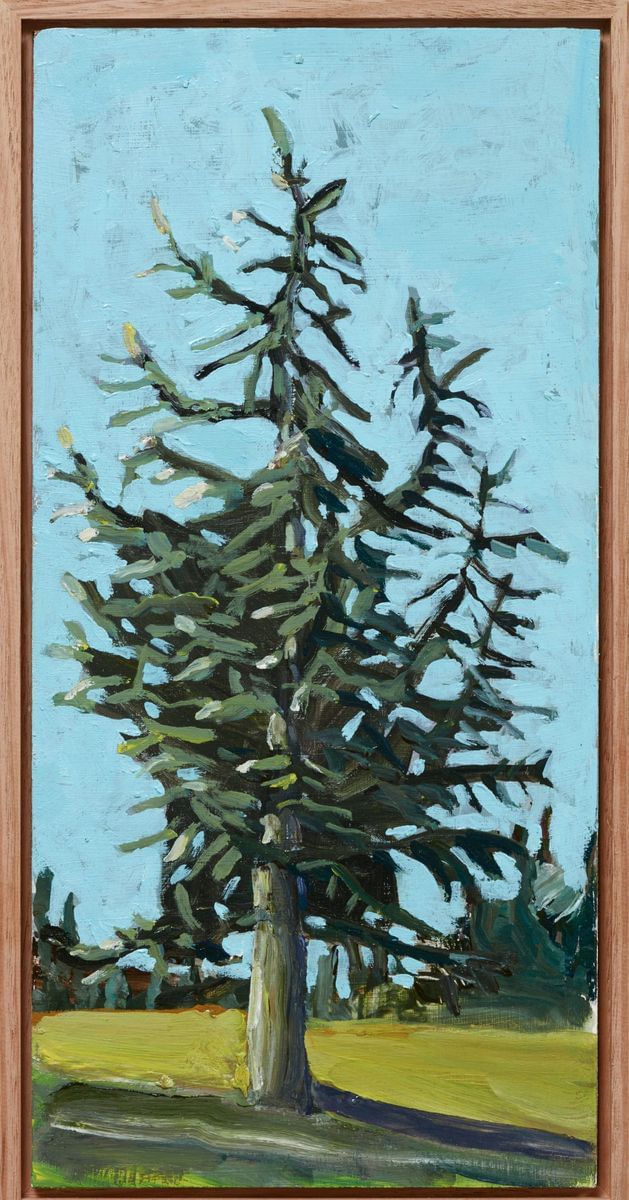 Jane Guthleben - Fir Tree, Early Afternoon