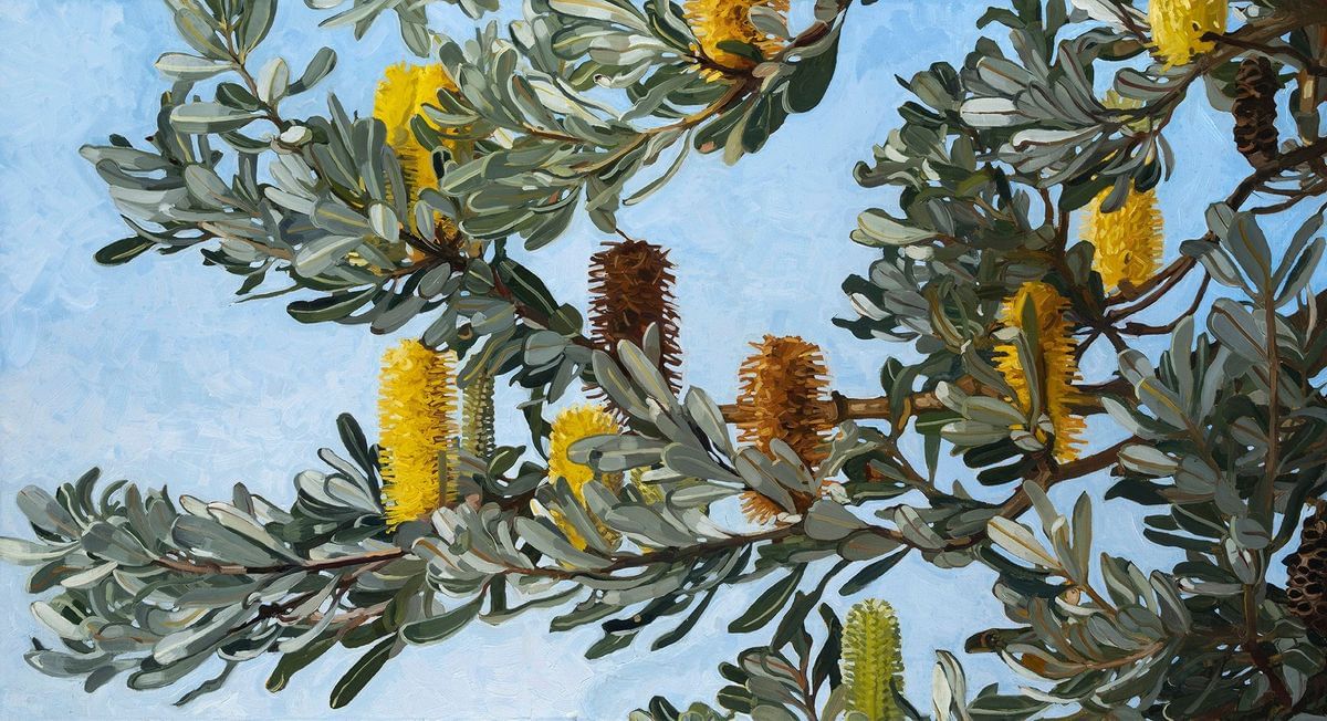 Judith Sinnamon - Banksia Integrifolia #3