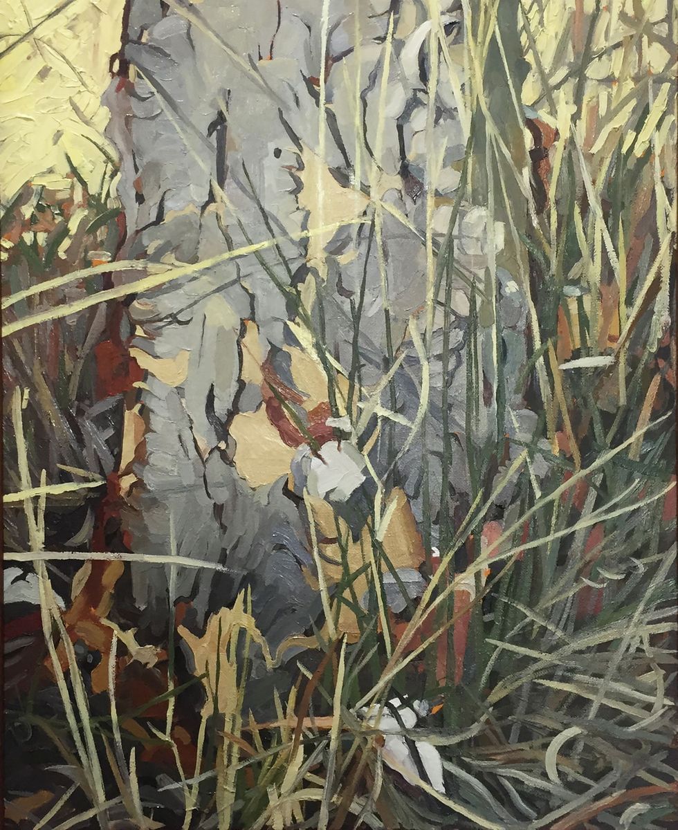 Bark Study (Corymbia Dallachiana) #2ju by Judith Sinnamon