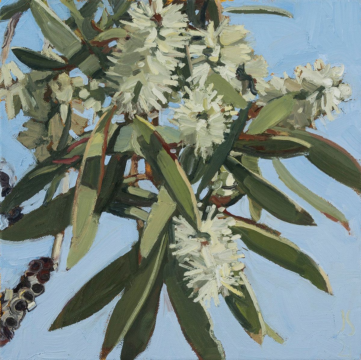 Judith Sinnamon - Paperbark #3 (Melaleuca Quinquenervia)