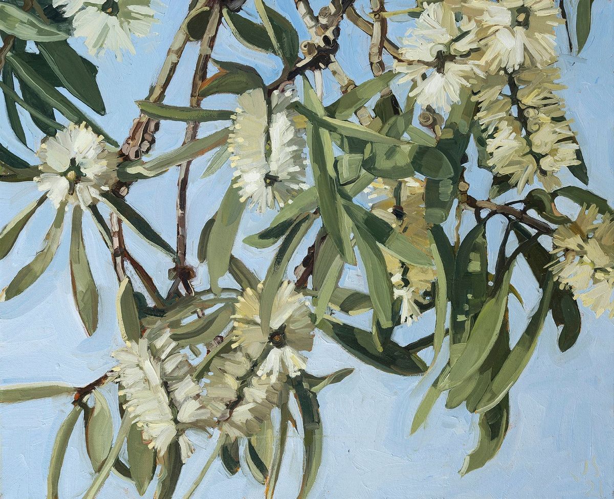 Judith Sinnamon - Paperbark #5 (Melaleuca Quinquenervia)