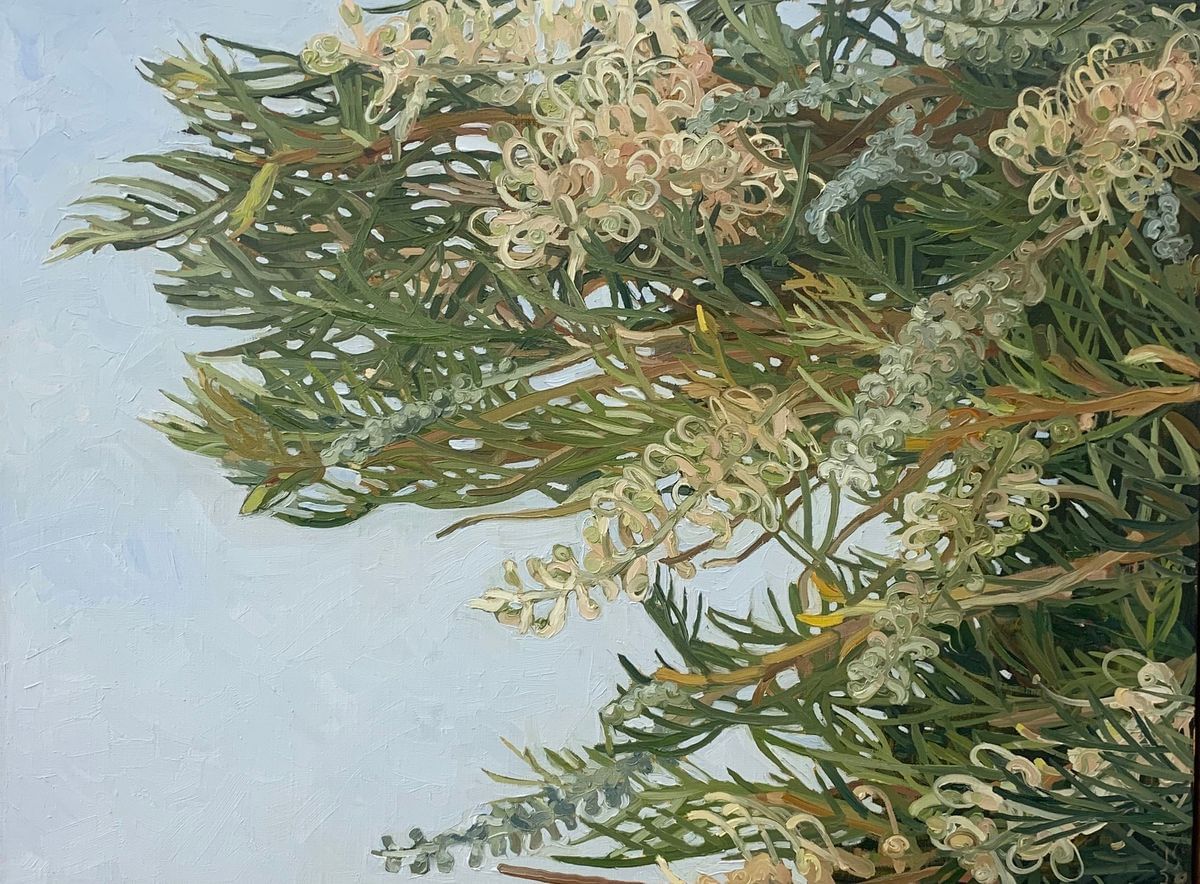 Judith Sinnamon - Autumn Grevillea