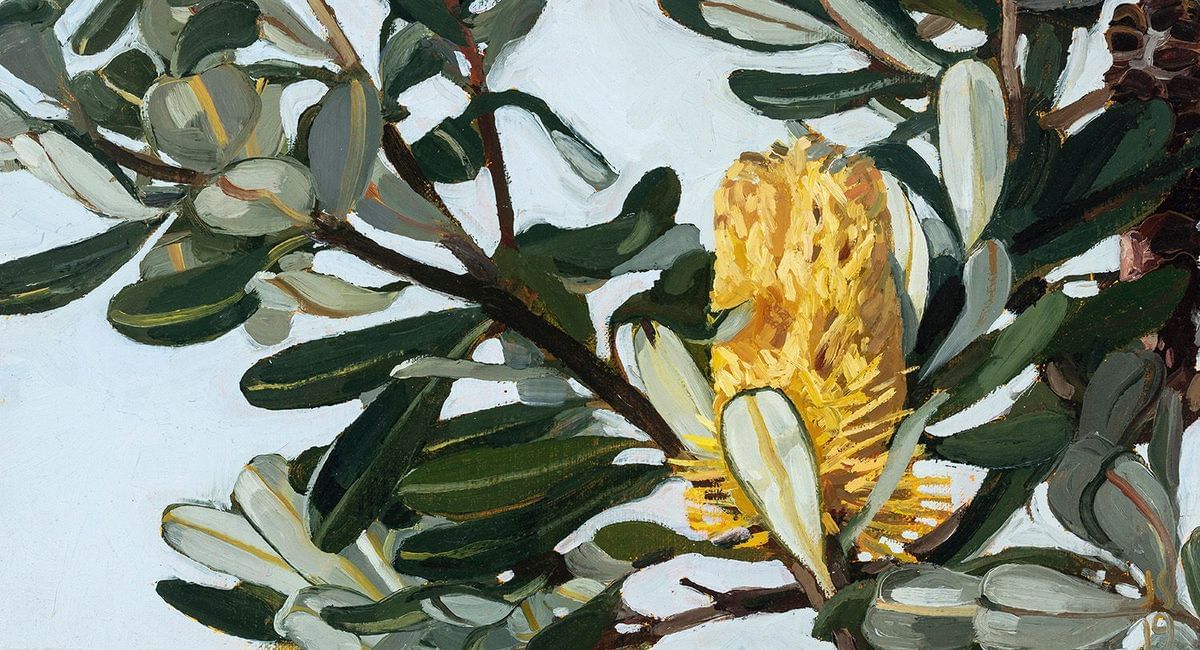 Judith Sinnamon - Banksia Integrifolia In May #2