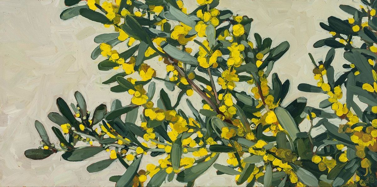 Judith Sinnamon - Getty Museum Wattle #2