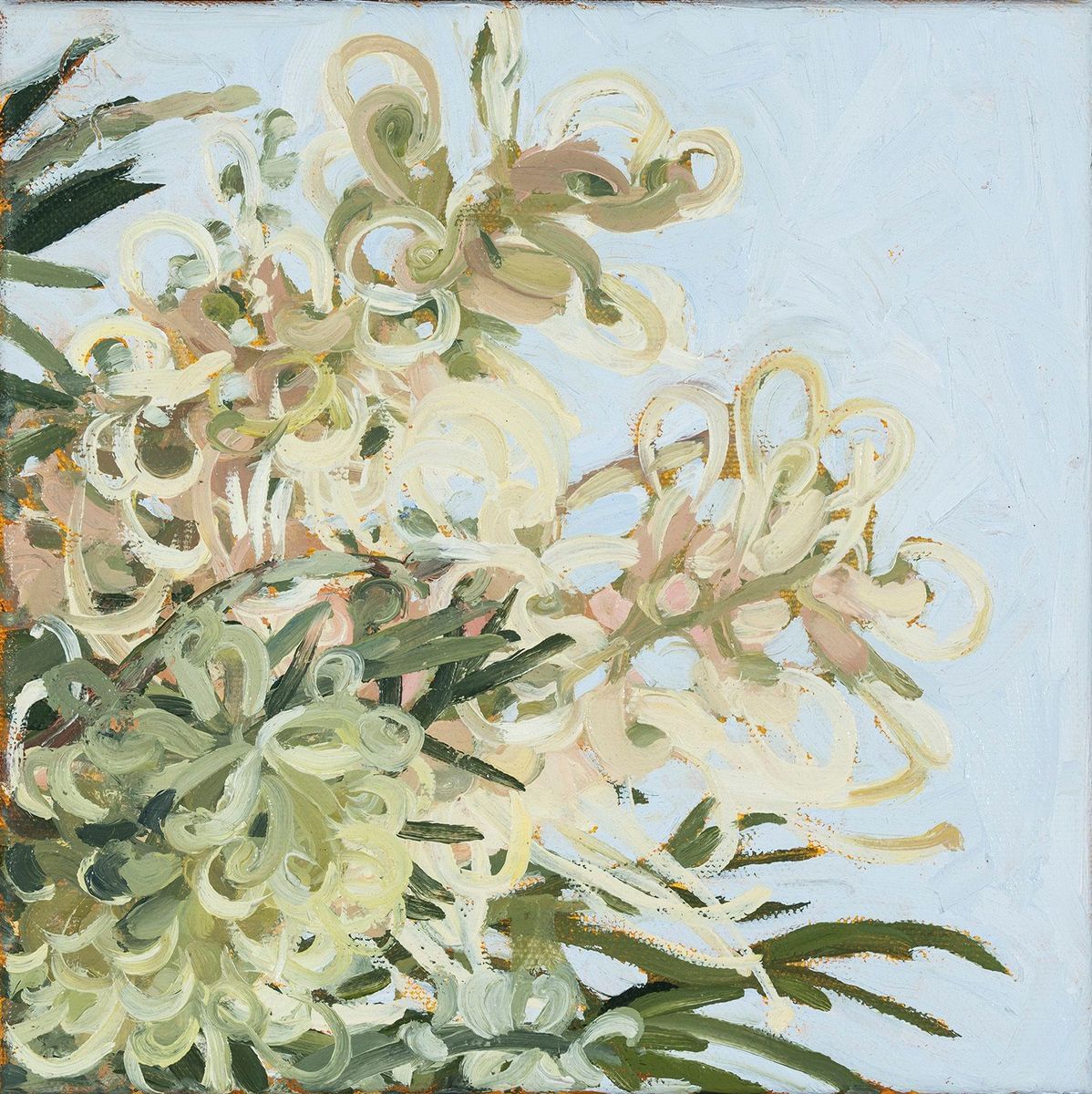 Judith Sinnamon - Grevillea #1