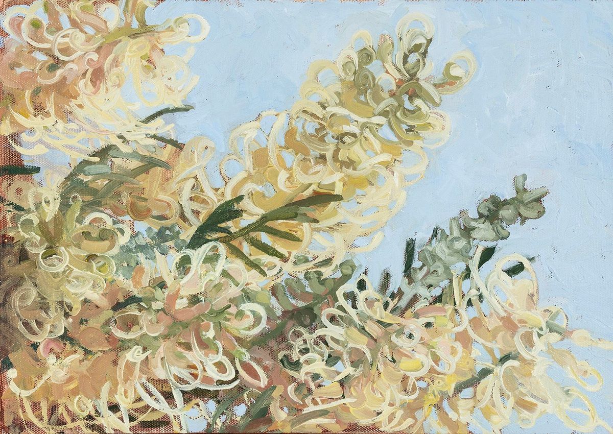 Judith Sinnamon - Grevillea #2