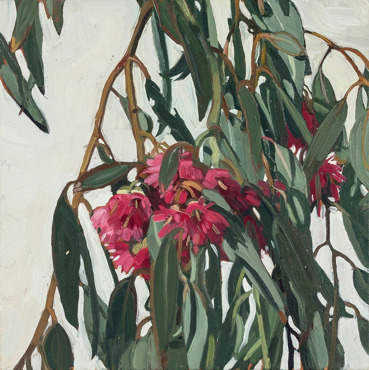 Judith Sinnamon - Gum Blossoms LA