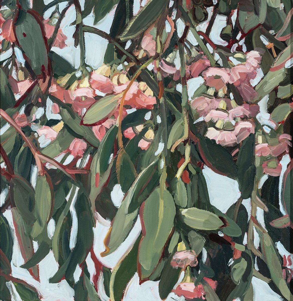 Judith Sinnamon - Northcote Gum Blossoms, Spring