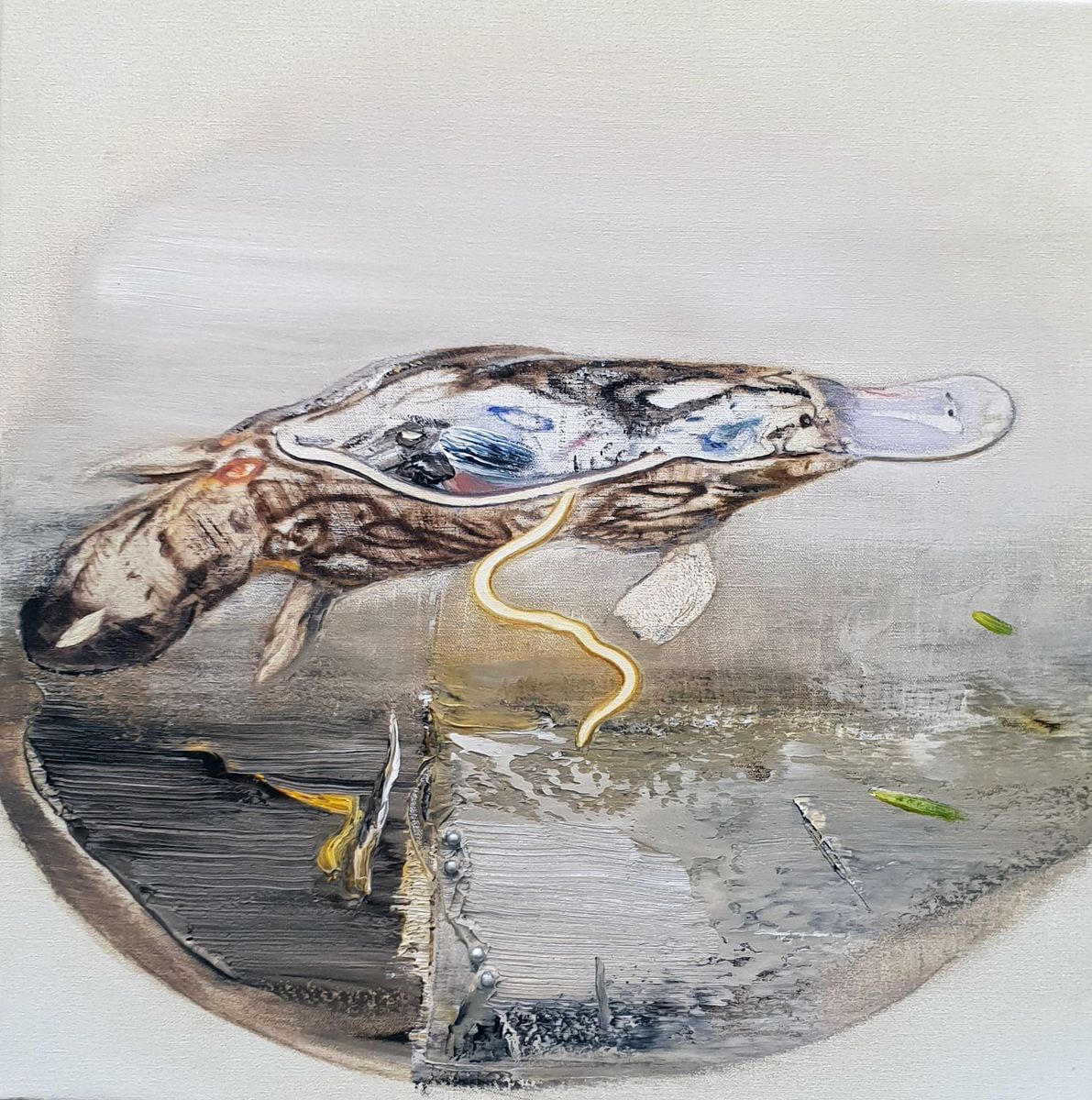 Tim McMonagle - Duck Billed Platypus II