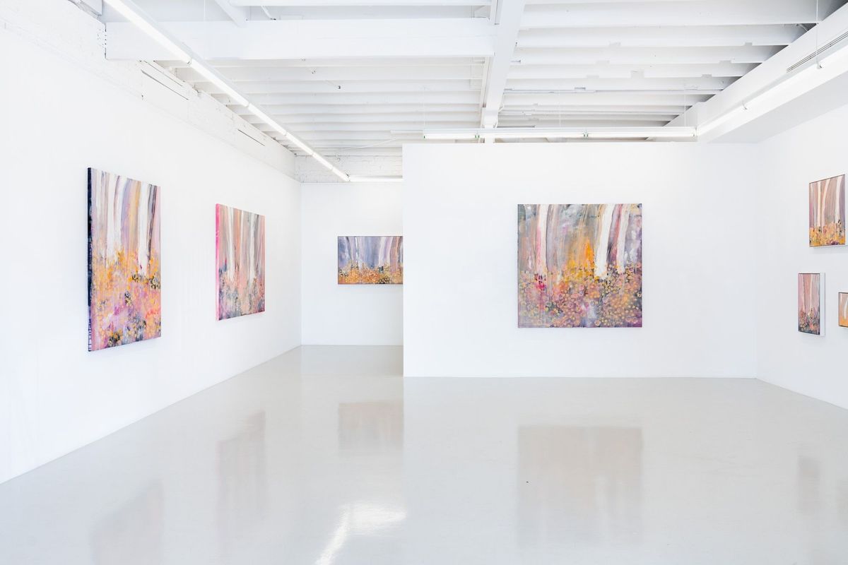 Installation view 'Aurora Meander'