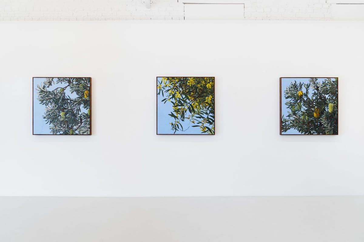 Judith Sinnamon - JS Foliage II 2023 5