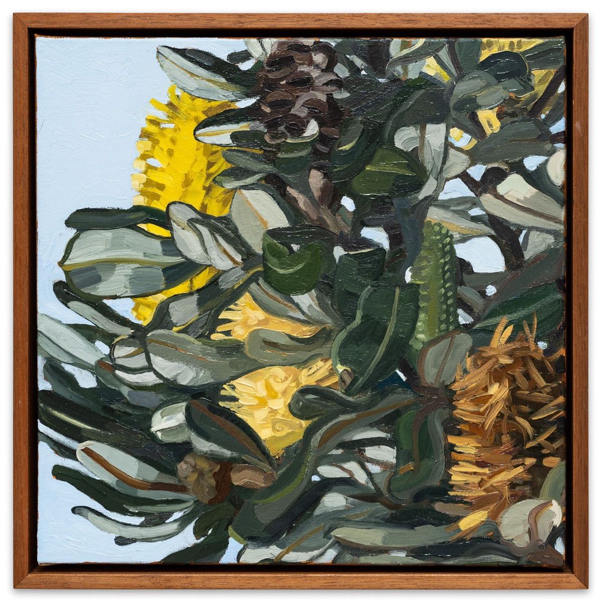 Judith Sinnamon - Banksia Integrifolia #10