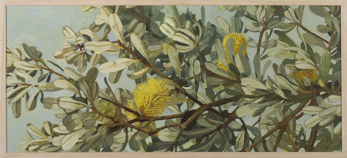 Judith Sinnamon - Banksia Integrifolia
