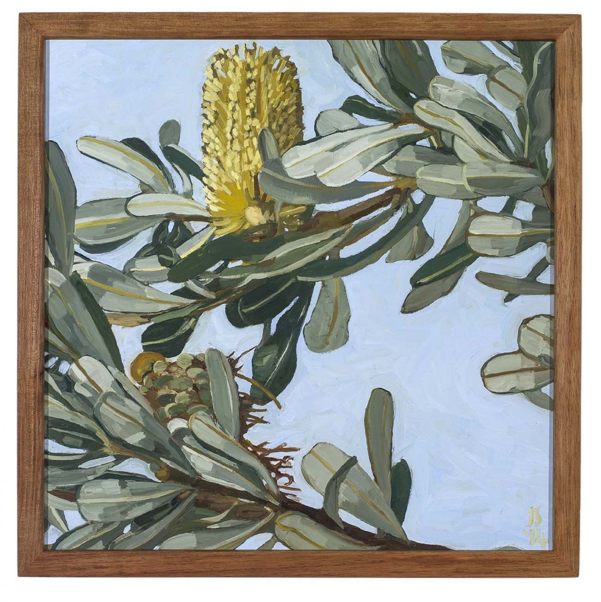 Judith Sinnamon - Banksia Integrifolia #4