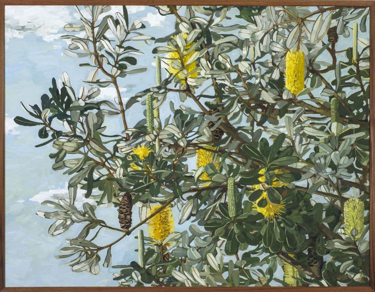 Judith Sinnamon - Coastal Banksia