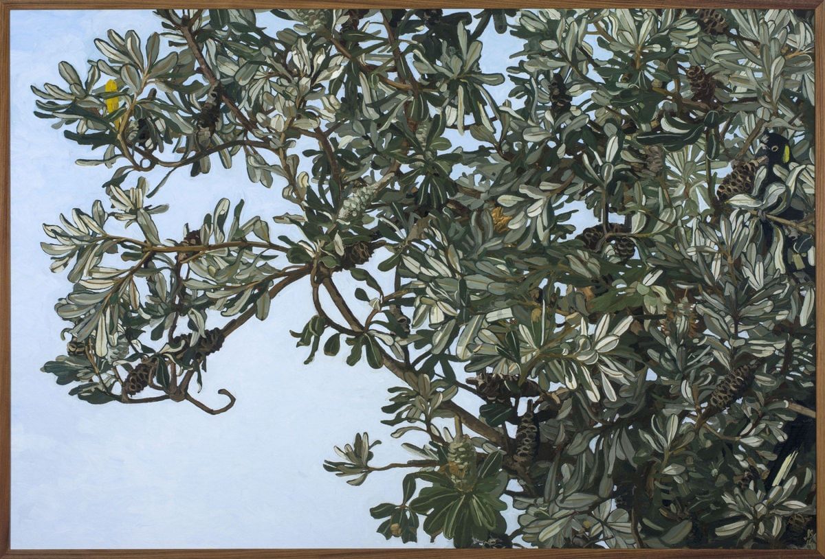 Judith Sinnamon - Winter Banksia Marcoola