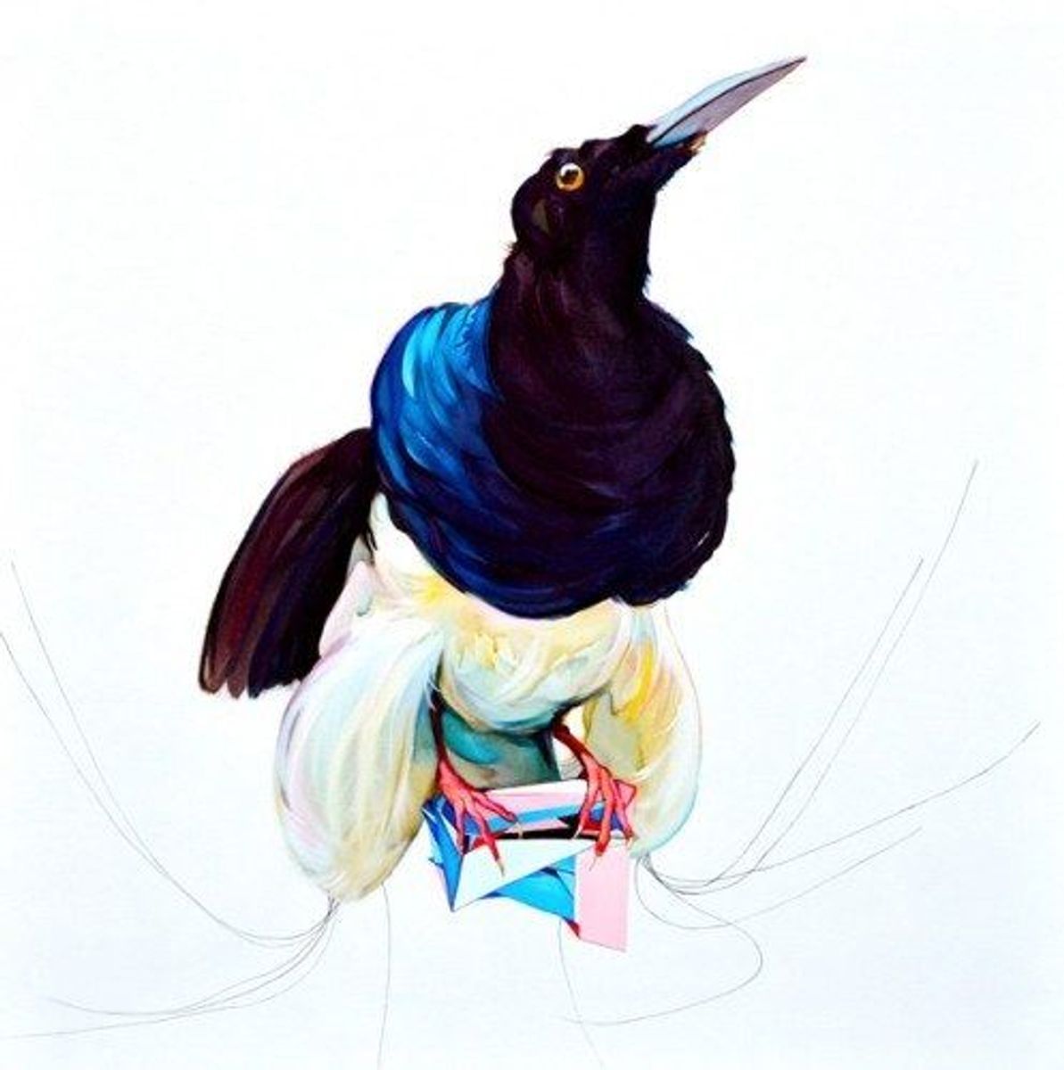 Julian Meagher - Twelve Wired Bird Of Paradise