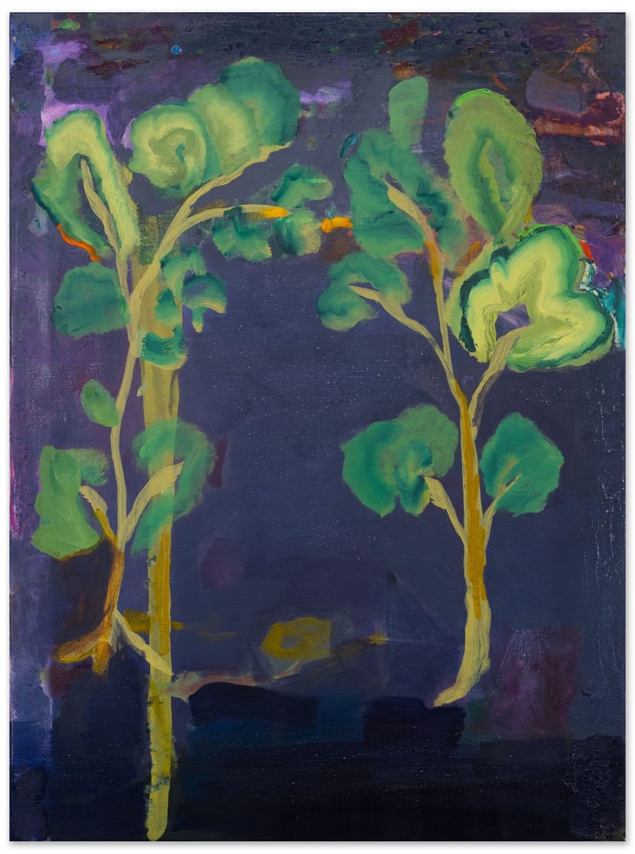 Miranda Skoczek - Night Garden