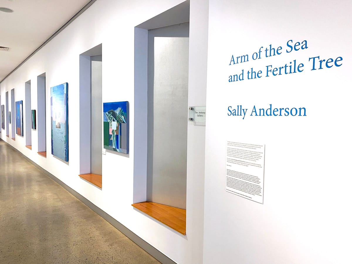 Sally Anderson - Installation view 'Arm of the Sea and the Fertile Tree' Tweed Regional Gallery