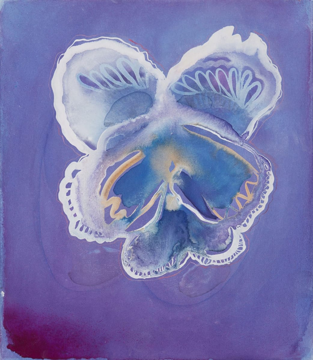 Tara Marynowsky - Pansy