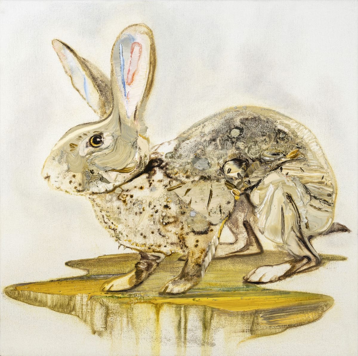 Hare