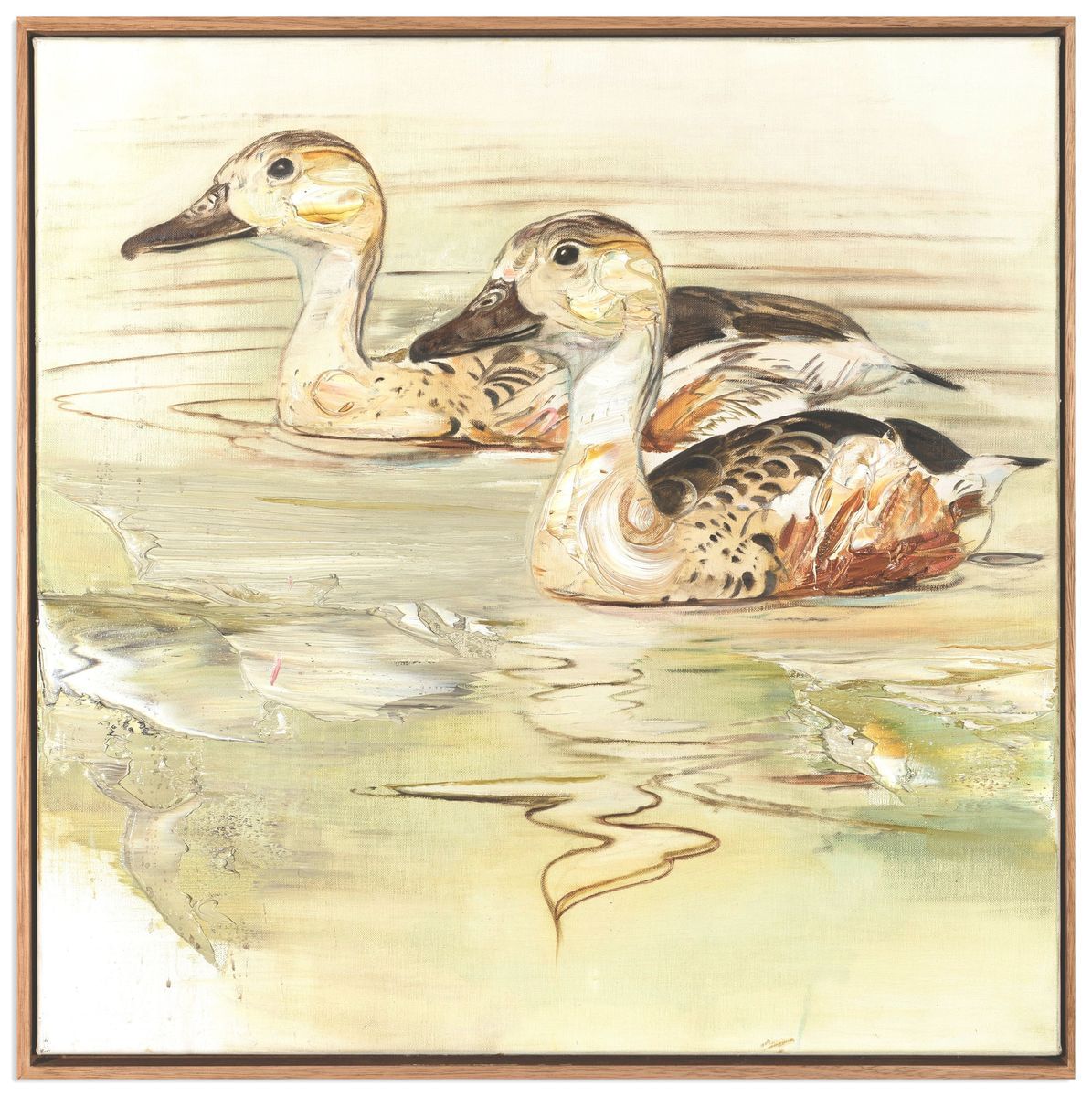 Stawell Pond Ducks by Tim McMonagle