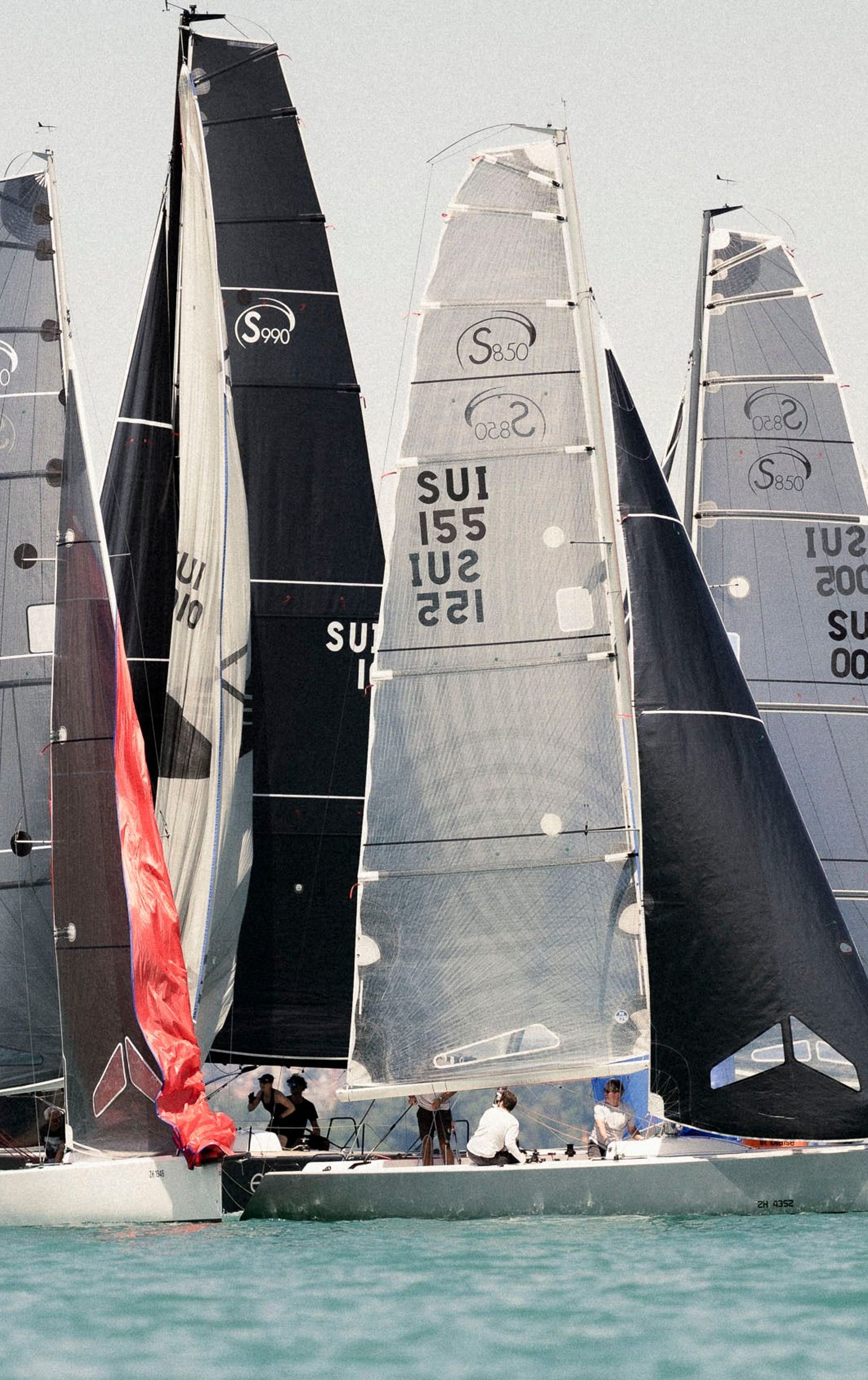 Mehrere Segelboote mit schwarzen Segeln, auf denen 'SUI' gefolgt von Nummern steht, navigieren dicht beieinander auf dem Wasser mit einer Stadt im Hintergrund. Erfahren Sie mehr auf esseboats.ch.