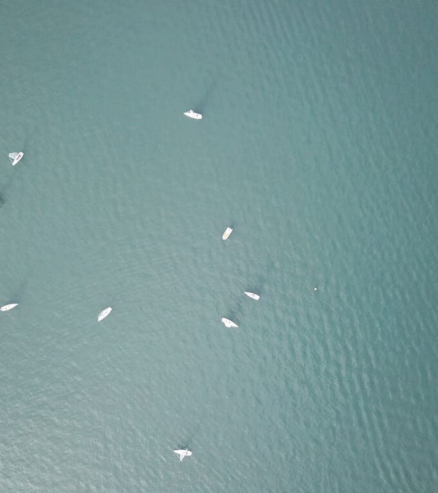 Esseboats beim thalwil cup 2017